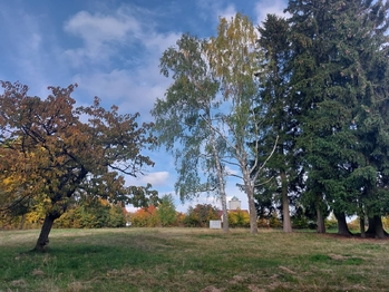 Prodej pozemku 812 m², Vysoké nad Jizerou