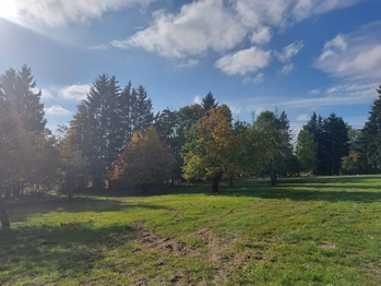 Prodej pozemku 812 m², Vysoké nad Jizerou