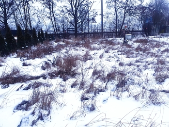 Prodej pozemku 328 m², Pardubice