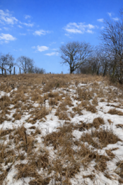 Prodej pozemku 2229 m², Habrovany