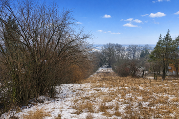 Prodej pozemku 2229 m², Habrovany