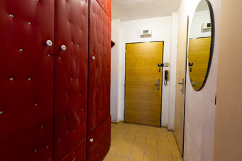vstupní chodba - Prodej bytu 1+kk v družstevním vlastnictví 34 m², Praha 3 - Žižkov