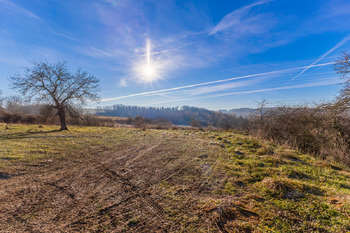 zahrada směrem k lesu - Prodej pozemku 2831 m², Svojetín