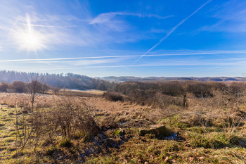 Prodej pozemku 2831 m², Svojetín