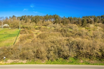Prodej pozemku 10915 m², Zdice