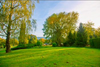 Prodej pozemku 1027 m², Zlaté Hory