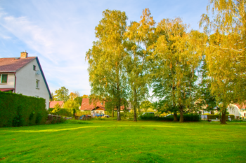 Prodej pozemku 1027 m², Zlaté Hory