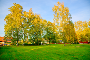 Prodej pozemku 1027 m², Zlaté Hory
