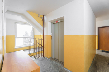 Pronájem bytu 3+1 v družstevním vlastnictví 74 m², Čelákovice