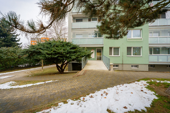 Pronájem bytu 3+1 v družstevním vlastnictví 74 m², Čelákovice