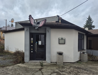 Pronájem obchodních prostor 230 m², Svitavy