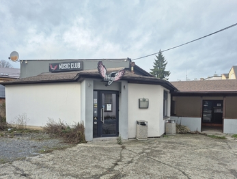 Pronájem obchodních prostor 230 m², Svitavy