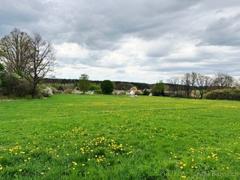 Pohled na pozemek v zeleni. - Prodej pozemku 1131 m², Borovany