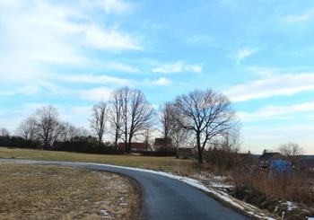 Příjezdová asfaltová komunikace. - Prodej pozemku 1131 m², Borovany