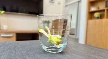 Pronájem bytu 2+kk v osobním vlastnictví 50 m², Jihlava