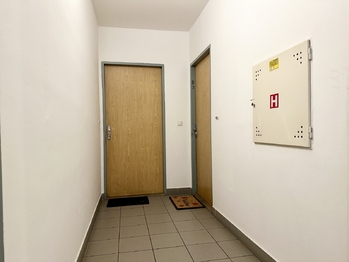 Prodej bytu 3+1 v osobním vlastnictví 105 m², Praha 10 - Strašnice