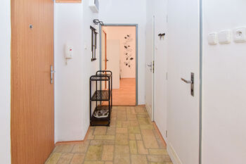 Pronájem bytu 2+1 v osobním vlastnictví 50 m², Praha 3 - Žižkov