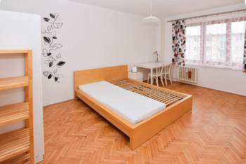 Pronájem bytu 2+1 v osobním vlastnictví 50 m², Praha 3 - Žižkov