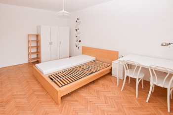 Pronájem bytu 2+1 v osobním vlastnictví 50 m², Praha 3 - Žižkov