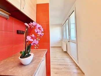 Prodej bytu 1+kk v osobním vlastnictví 35 m², Pardubice