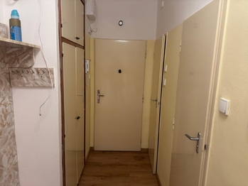 Pronájem bytu 3+1 v osobním vlastnictví 75 m², Přerov