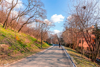 Pronájem obchodních prostor 120 m², Praha 3 - Žižkov