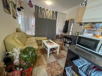 Pronájem bytu 1+kk v osobním vlastnictví 33 m², Bor