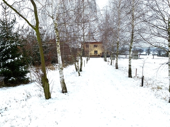 Prodej pozemku 3955 m², Podhořany u Ronova