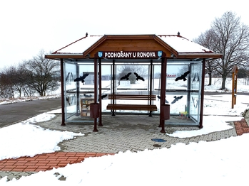 Prodej pozemku 3955 m², Podhořany u Ronova