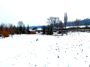 Prodej pozemku 3955 m², Podhořany u Ronova