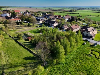 Prodej pozemku 3754 m², Podhořany u Ronova