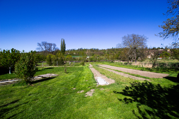 Prodej pozemku 3754 m², Podhořany u Ronova