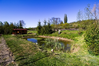 Prodej pozemku 3754 m², Podhořany u Ronova