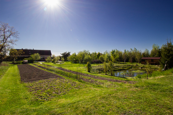 Prodej pozemku 3754 m², Podhořany u Ronova