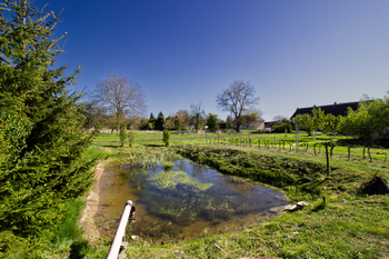 Prodej pozemku 3754 m², Podhořany u Ronova
