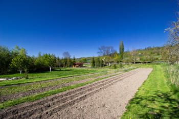 Prodej pozemku 3754 m², Podhořany u Ronova