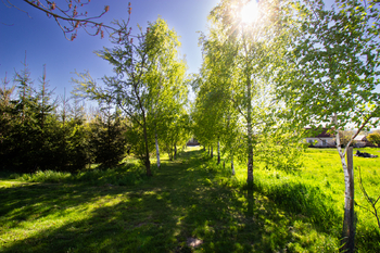 Prodej pozemku 3754 m², Podhořany u Ronova