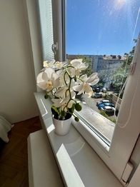 Pronájem bytu 3+kk v osobním vlastnictví 70 m², Pardubice