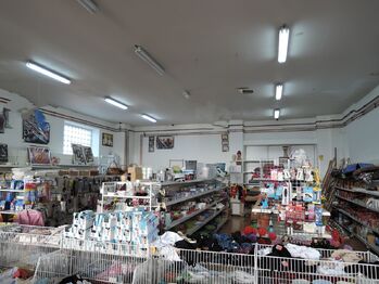 Pronájem obchodních prostor 420 m², Hostivice