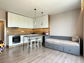 Prodej bytu 1+kk v osobním vlastnictví 39 m², Plzeň