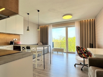 Prodej bytu 1+kk v osobním vlastnictví 39 m², Plzeň