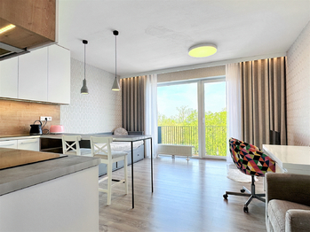 Prodej bytu 1+kk v osobním vlastnictví 39 m², Plzeň