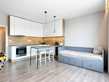 Prodej bytu 1+kk v osobním vlastnictví 39 m², Plzeň