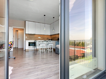 Prodej bytu 1+kk v osobním vlastnictví 39 m², Plzeň