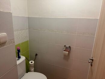 Prodej domu 450 m², Roštění