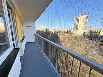 Pronájem bytu 1+kk v osobním vlastnictví 30 m², Pardubice