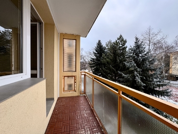 Pronájem bytu 1+1 v družstevním vlastnictví 36 m², Vyškov