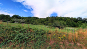 Prodej pozemku 5352 m², Dobkovice