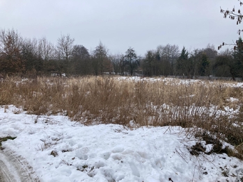 Prodej pozemku 1757 m², Svojkov