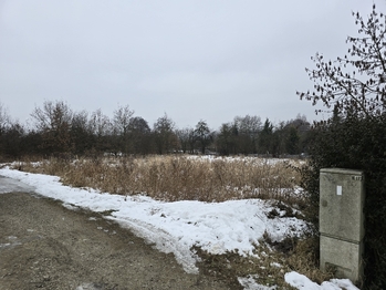 Prodej pozemku 1757 m², Svojkov